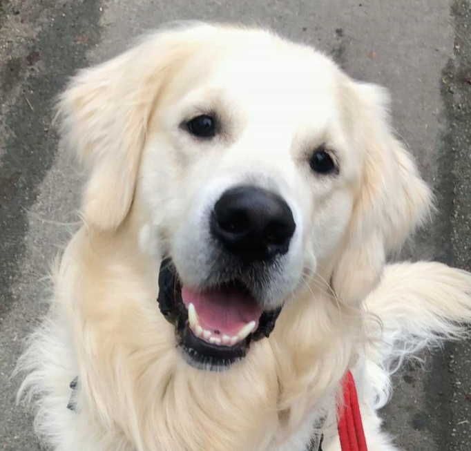 Finley 